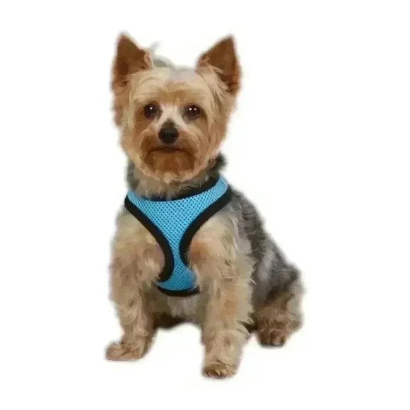 NWT Blue Casual Dog Mesh Dog Harnesses - Picture 1 of 3